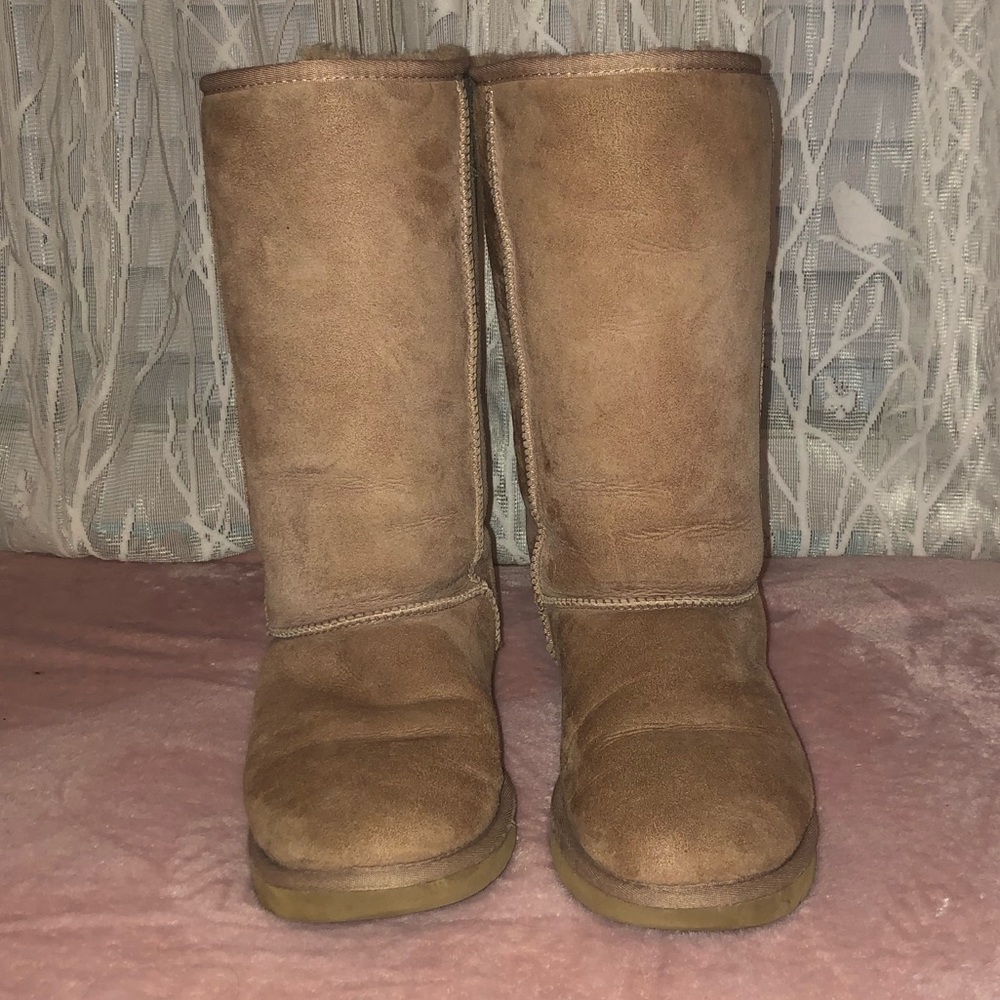 Women Classic Talk Ugg Boots